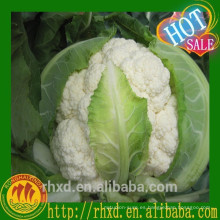 Coliflor fresca china / Venta de brócoli blanco